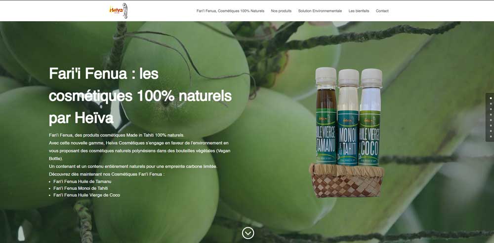 Conception du site web Fari&rsquo;i Fenua