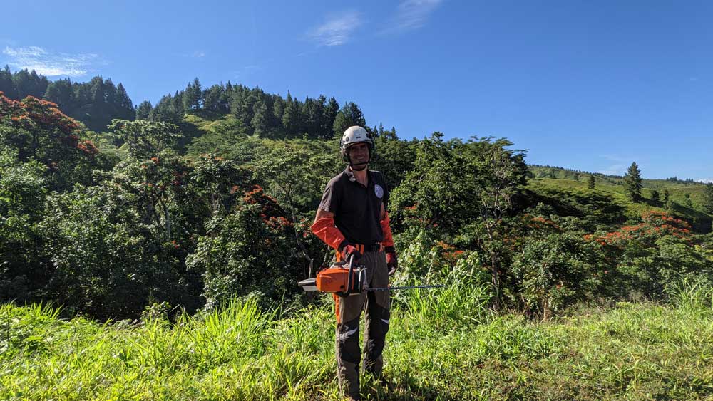 Community Management de Tahiti Élagage